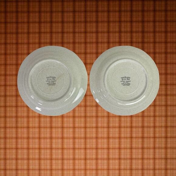 Mikasa VTG Garden Club Harvest Bouquet EC 455 Set 2 Stoneware Floral 8" Plates - Picture 2 of 8